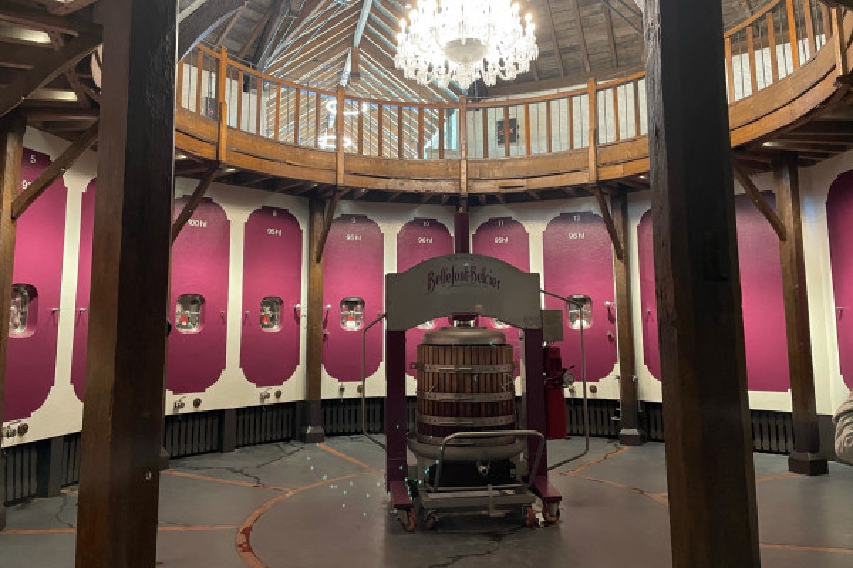 Private day tour in St-Emilion (Premium Minivan / sedan) - Bonjour Fun