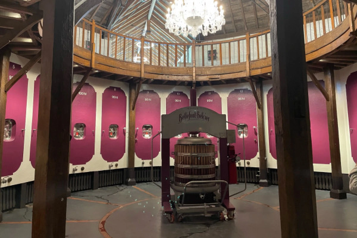 Private day tour in St-Emilion (Premium Minivan / sedan) - Bonjour Fun
