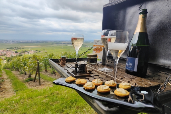 The royal connection / Day - Bonjour Fun