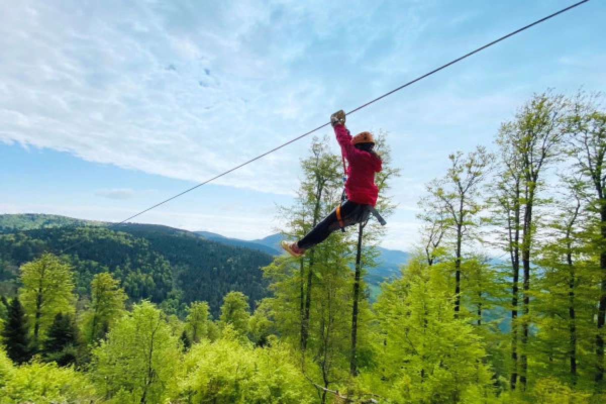 High rope course and zip lines - Parc Alsace Aventure - Bonjour Fun