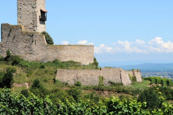 Alsace vineyards and wine tasting - Bonjour Fun