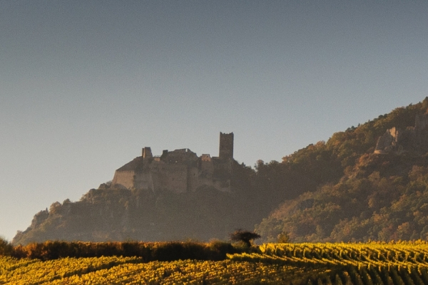 Alsace vineyards and wine tasting - Bonjour Fun