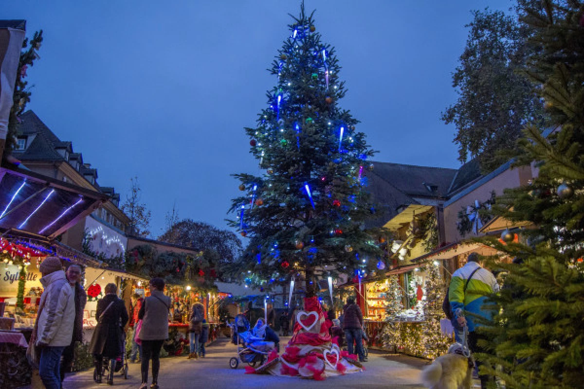 Alsace Villages and Christmas Markets Tour - Bonjour Fun