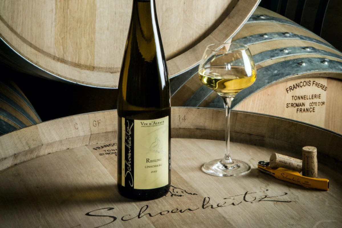 Visit a vineyard and discover Alsace wines - Bonjour Fun