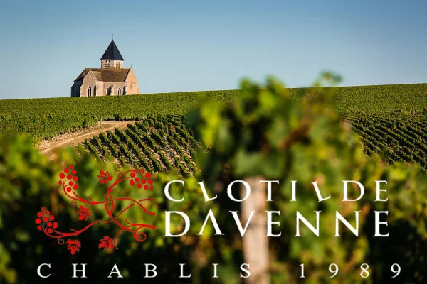 Visit and Chablis wine tasting at Domaine Clotilde Davenne in English - Bonjour Fun