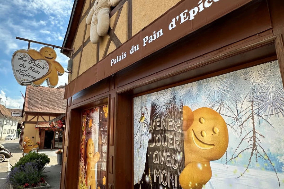 Visit to the Fortwenger Gingerbread Palace - Bonjour Fun