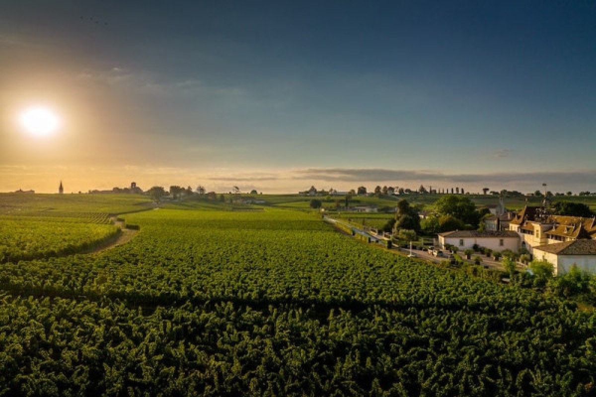 Private tour to Saint-Émilion & Pomerol - Bonjour Fun