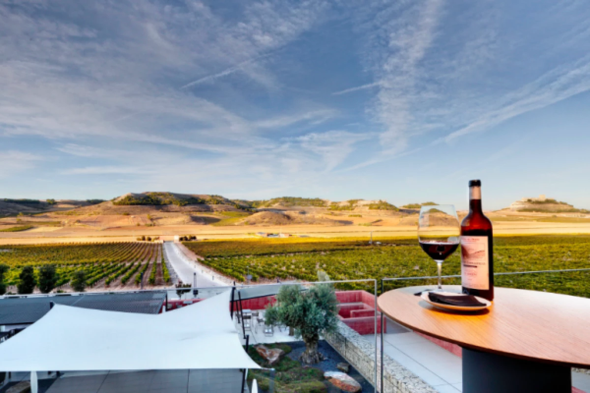 Private Ribera del Duero Tour with 2 Spectacular Wineries - Bonjour Fun