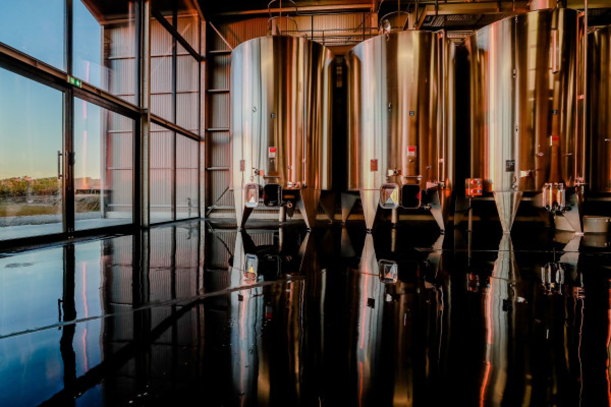 Wine and cheese tasting at Château Lauduc - Bonjour Fun