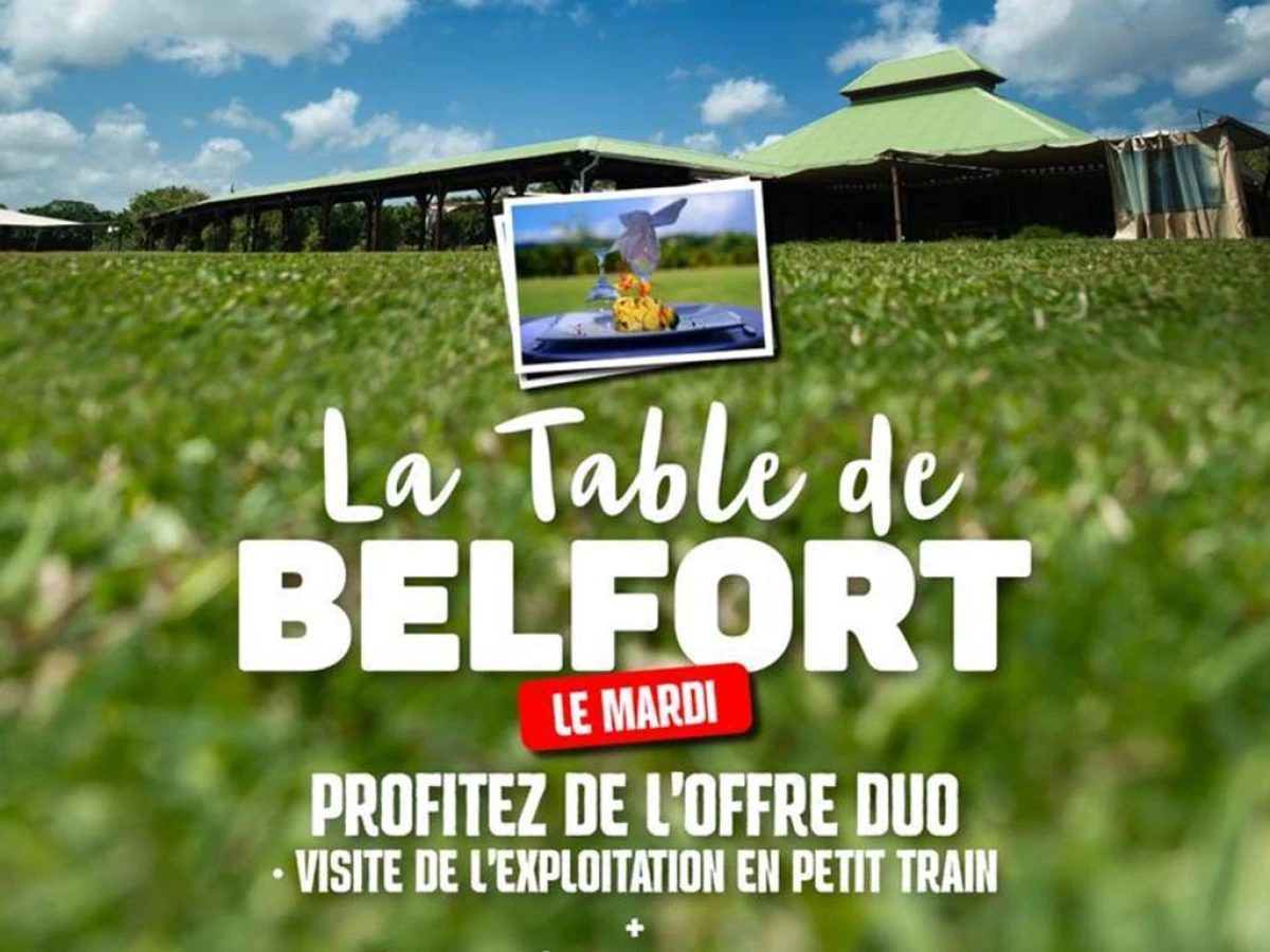 Visite Belfort MQ - Bonjour Fun