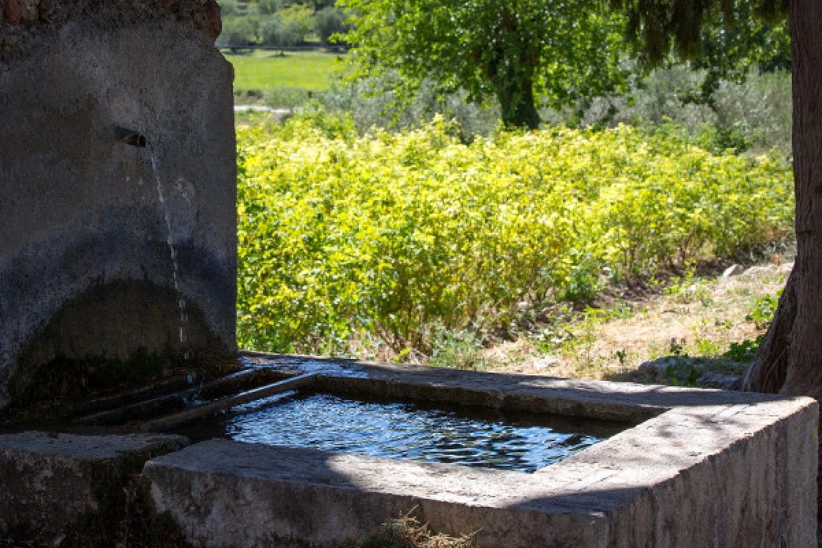 Guided tour of the village of Fayence - Bonjour Fun