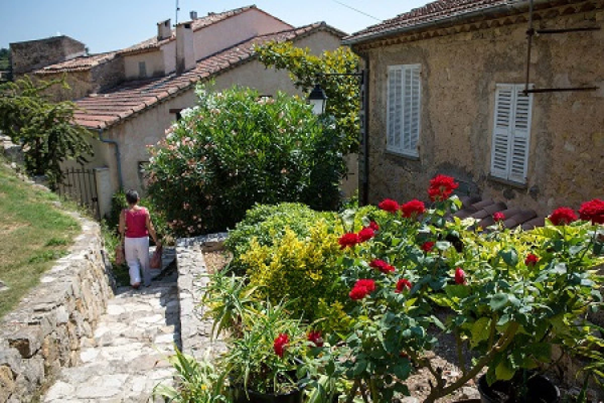 Guided tour of the village of Montauroux - Bonjour Fun