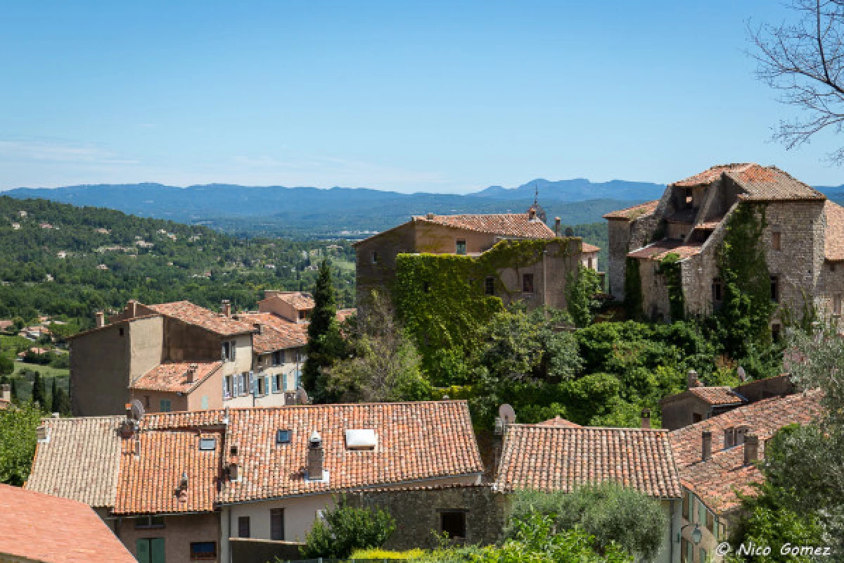 Guided tour of the village of Seillans - Bonjour Fun