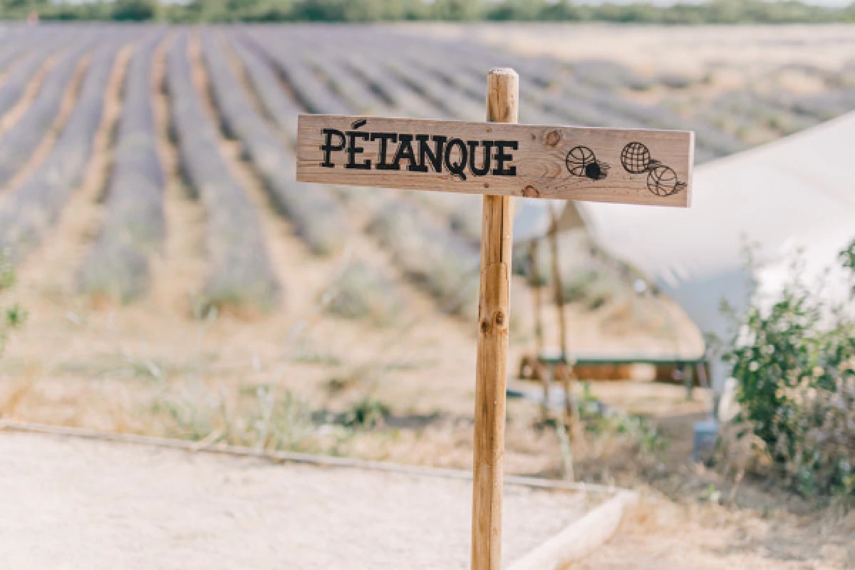 Visit Lavender field in Aix en Provence - Bonjour Fun