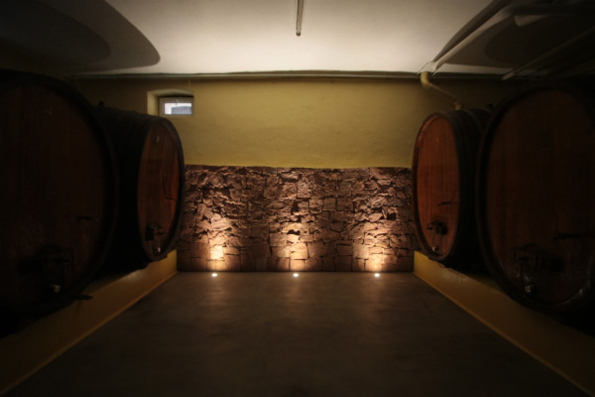 Traditional visit & wine tasting - 5 grape varieties - Bonjour Fun