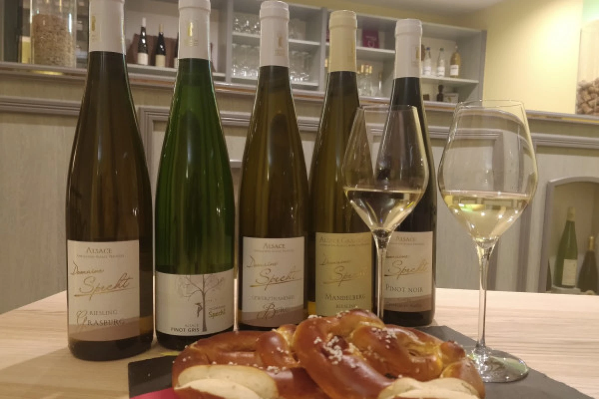 Traditional visit & wine tasting - 5 grape varieties - Bonjour Fun