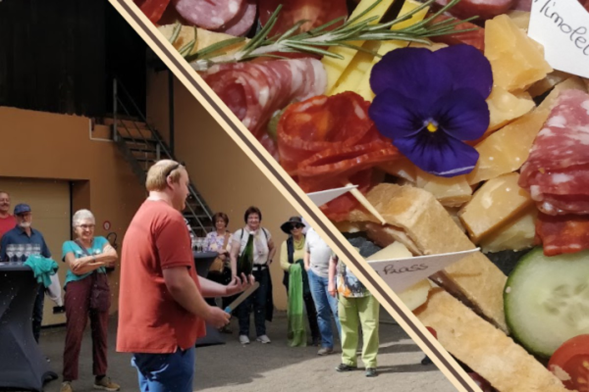 Traditional visit & wine tasting - 5 grape varieties - Bonjour Fun