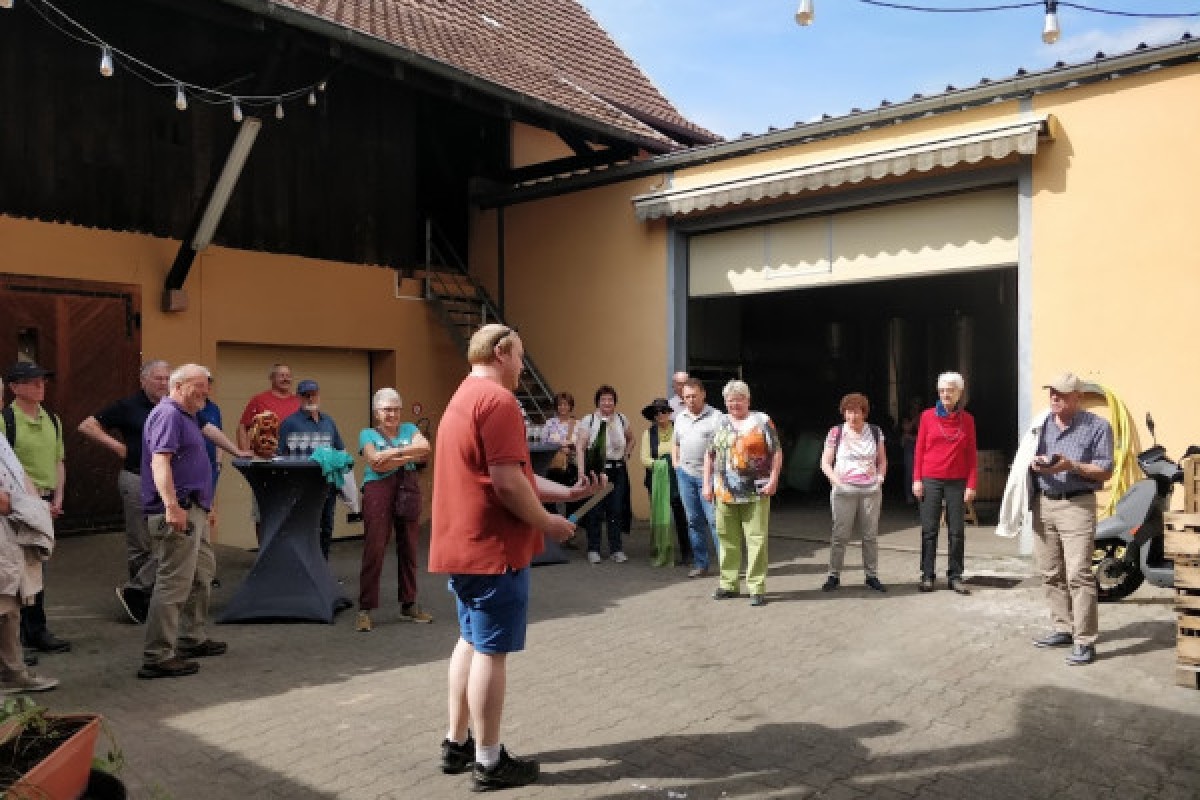 Traditional visit & wine tasting - 5 grape varieties - Bonjour Fun