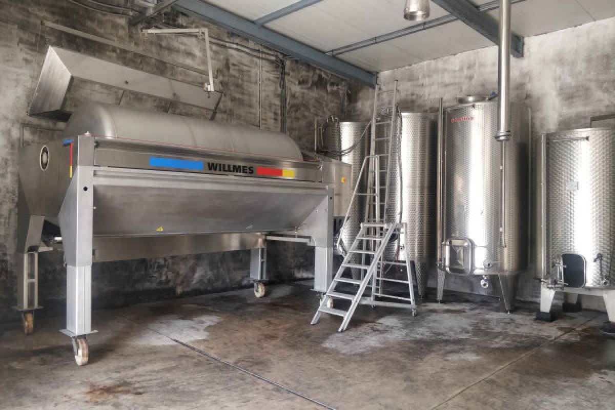 Traditional visit & wine tasting - 5 grape varieties - Bonjour Fun