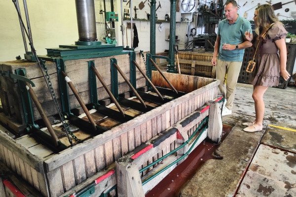 La Champenoise  Wine tourism 1/2 day - Bonjour Fun