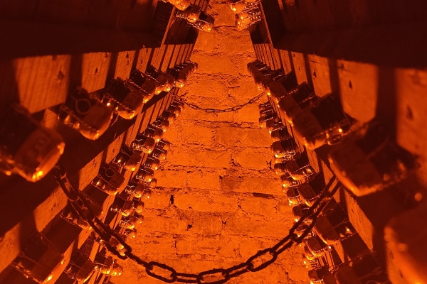 La Champenoise, Visit & tasting Vintage - Bonjour Fun