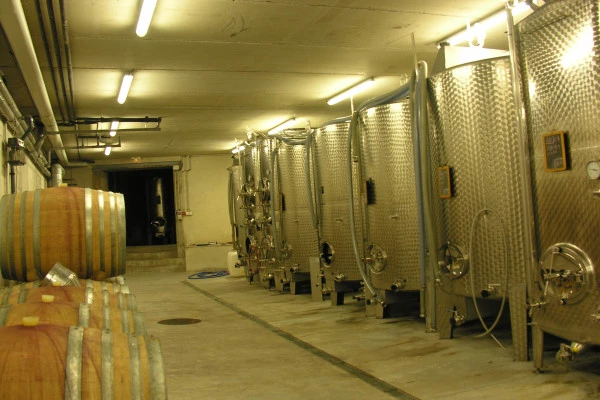 Cellar visit and discovery of Alsace wines - Bonjour Fun