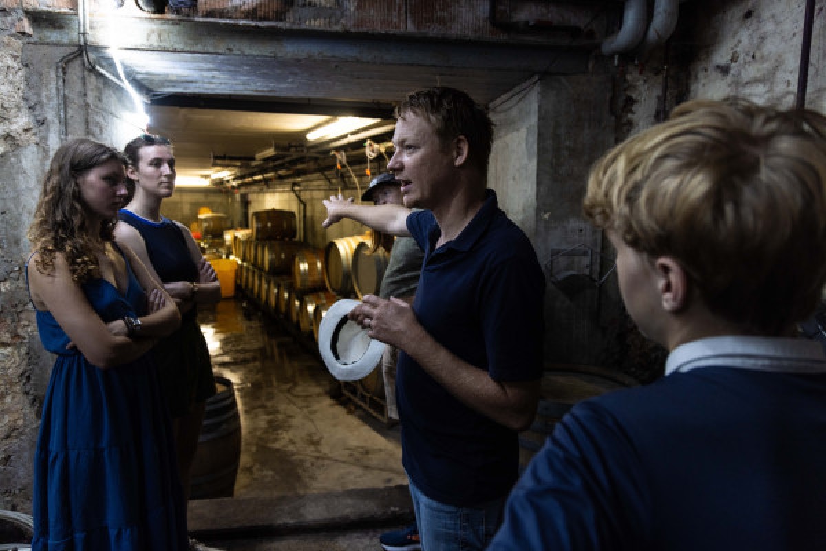 Cellar visit and discovery of Alsace wines - Bonjour Fun