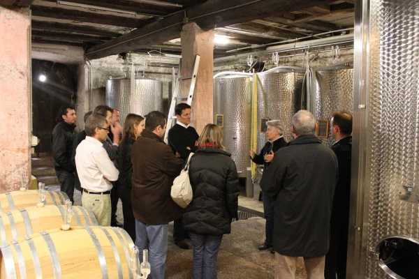 Cellar visit and discovery of Alsace wines - Bonjour Fun