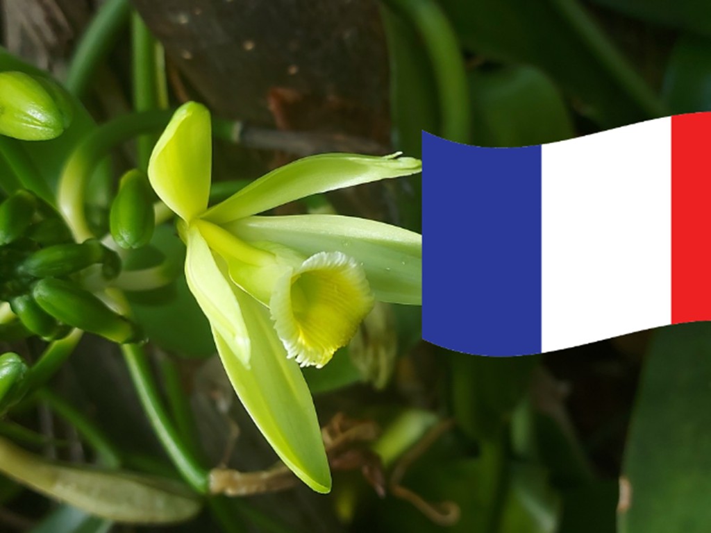 Farm tour (in French) - Bonjour Fun