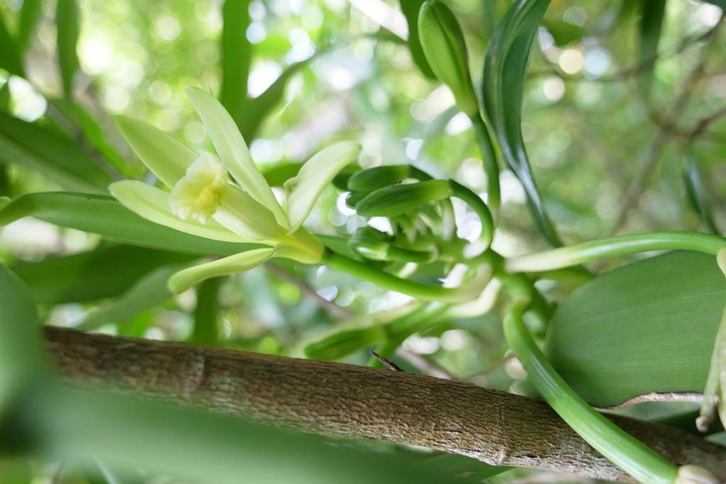 Farm tour (in French) - Bonjour Fun