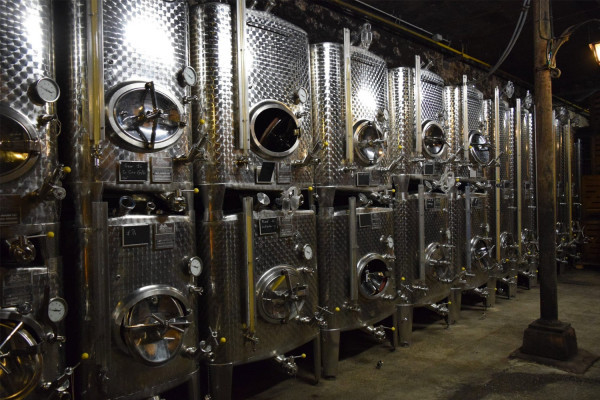 Discovery tour of our cellars! - Bonjour Fun
