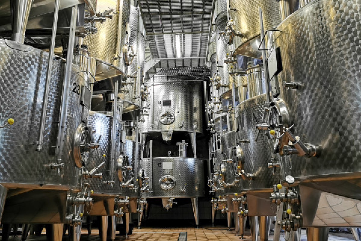 Visita de descubrimiento - Bonjour Fun