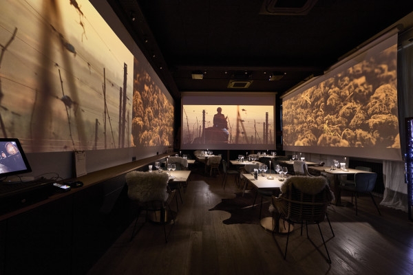 Wine tour, tasting and Alsatian meal - 100% immersive experience - Bonjour Fun