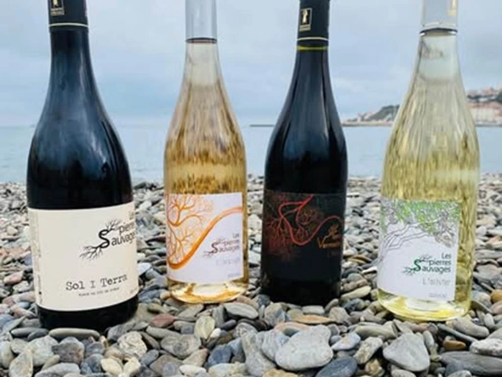 Visite + dégustation - Bonjour Fun