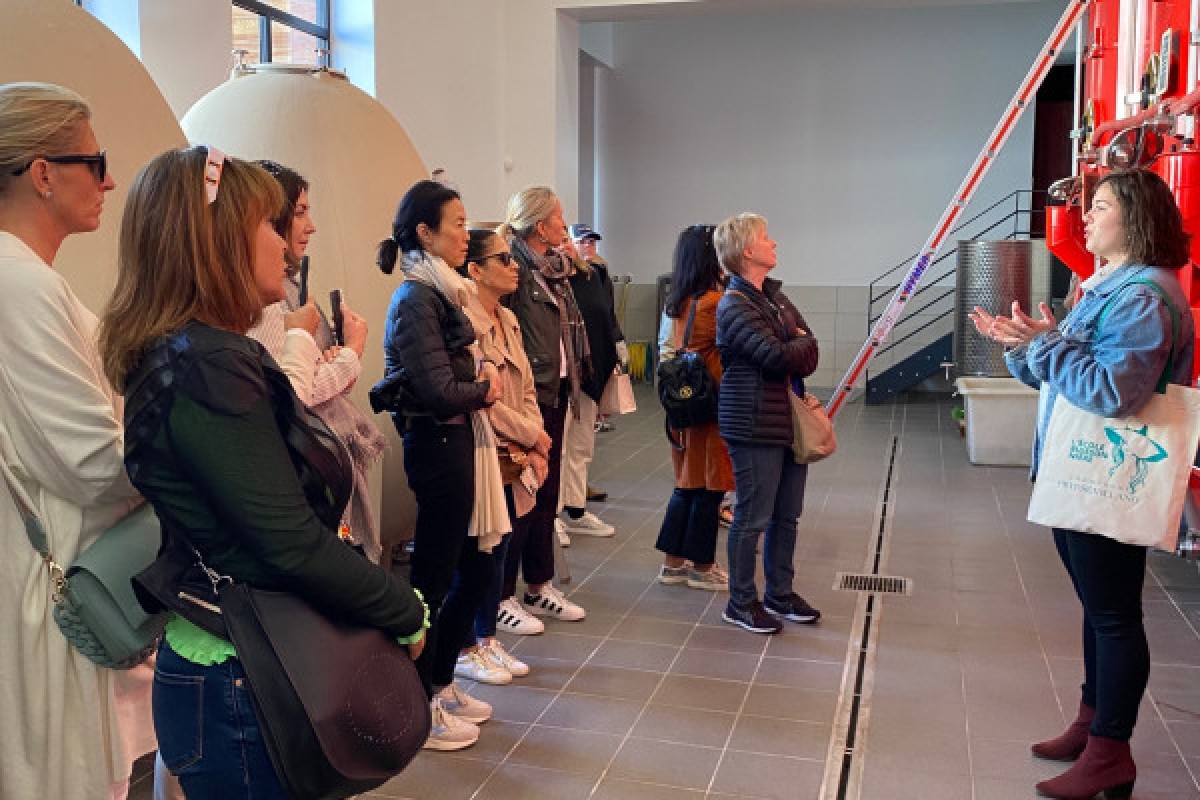 Tour & Tasting - Bonjour Fun