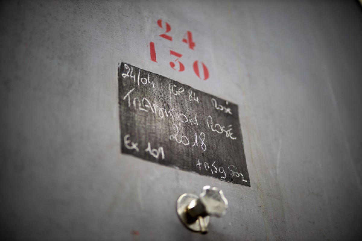 Cellar Tour - Bonjour Fun