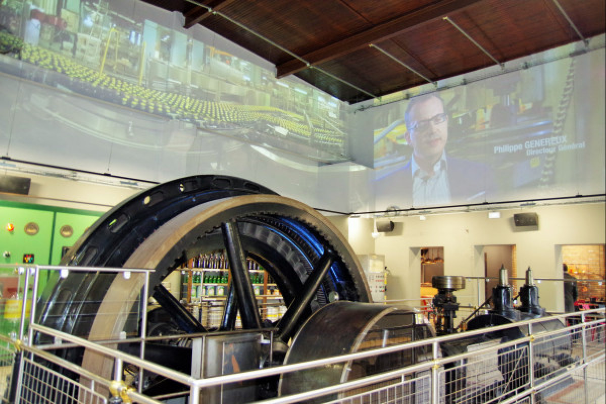 Visit and tasting at Villa METEOR in Hochfelden - Bonjour Fun