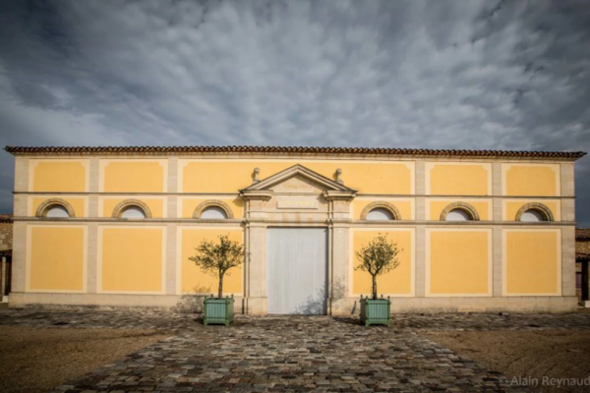 Visit and Tasting - Vieux Château Gaubert - PORTETS - Bonjour Fun