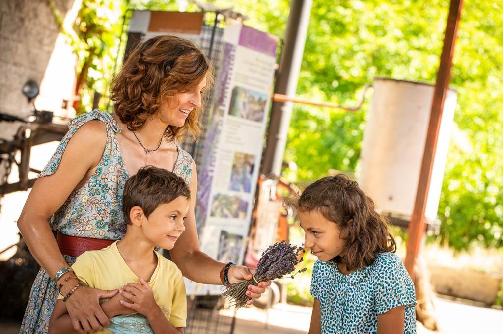 Discovery farm visit - Bonjour Fun