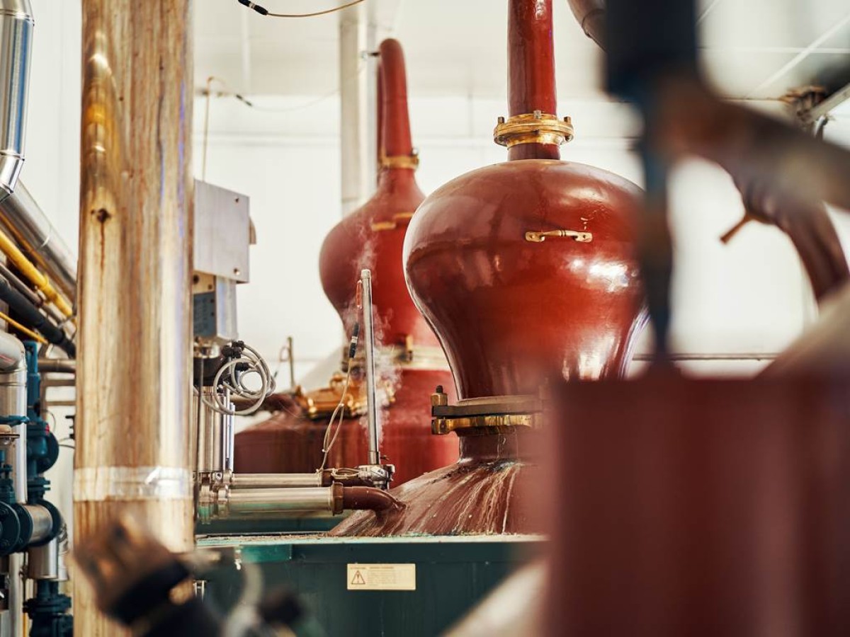 Visite guidée approfondie - Bonjour Fun