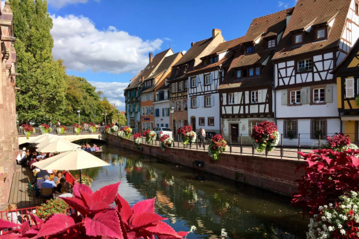 Gourmet guided tour - Colmar - Bonjour Fun