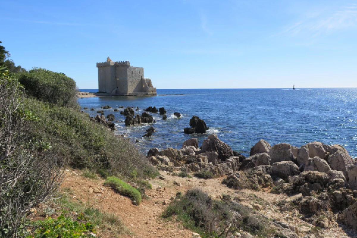 Guided visit Saint Honorat Island - cannes - Bonjour Fun