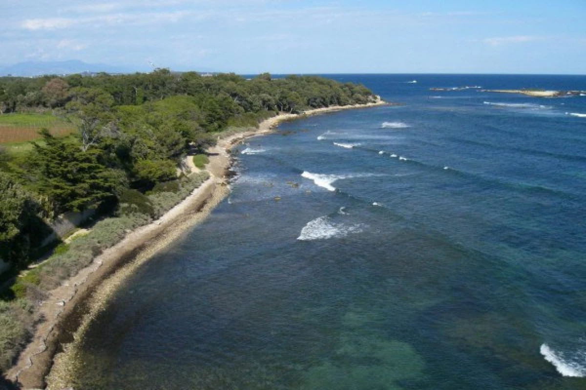 Guided visit Saint Honorat Island - cannes - Bonjour Fun