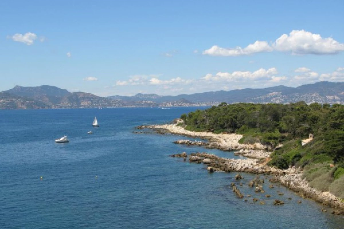 Guided visit Saint Honorat Island - cannes - Bonjour Fun