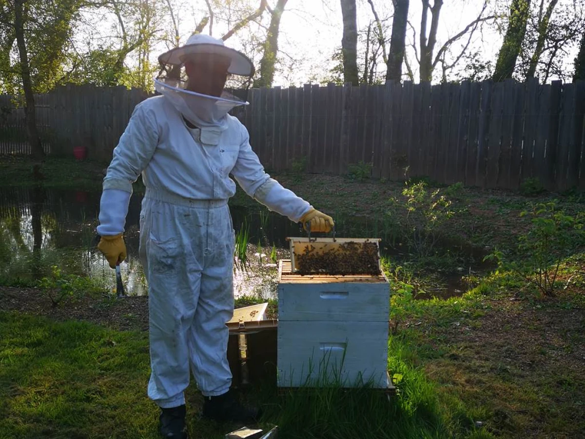 Guided Tour Honey and bees May 9, 2024 - Bonjour Fun