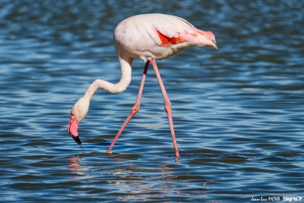 Discover of the Natural Reserve - Bonjour Fun