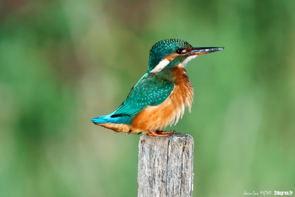 Discover of the Natural Reserve - Bonjour Fun