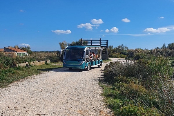 Discover of the Natural Reserve - Bonjour Fun