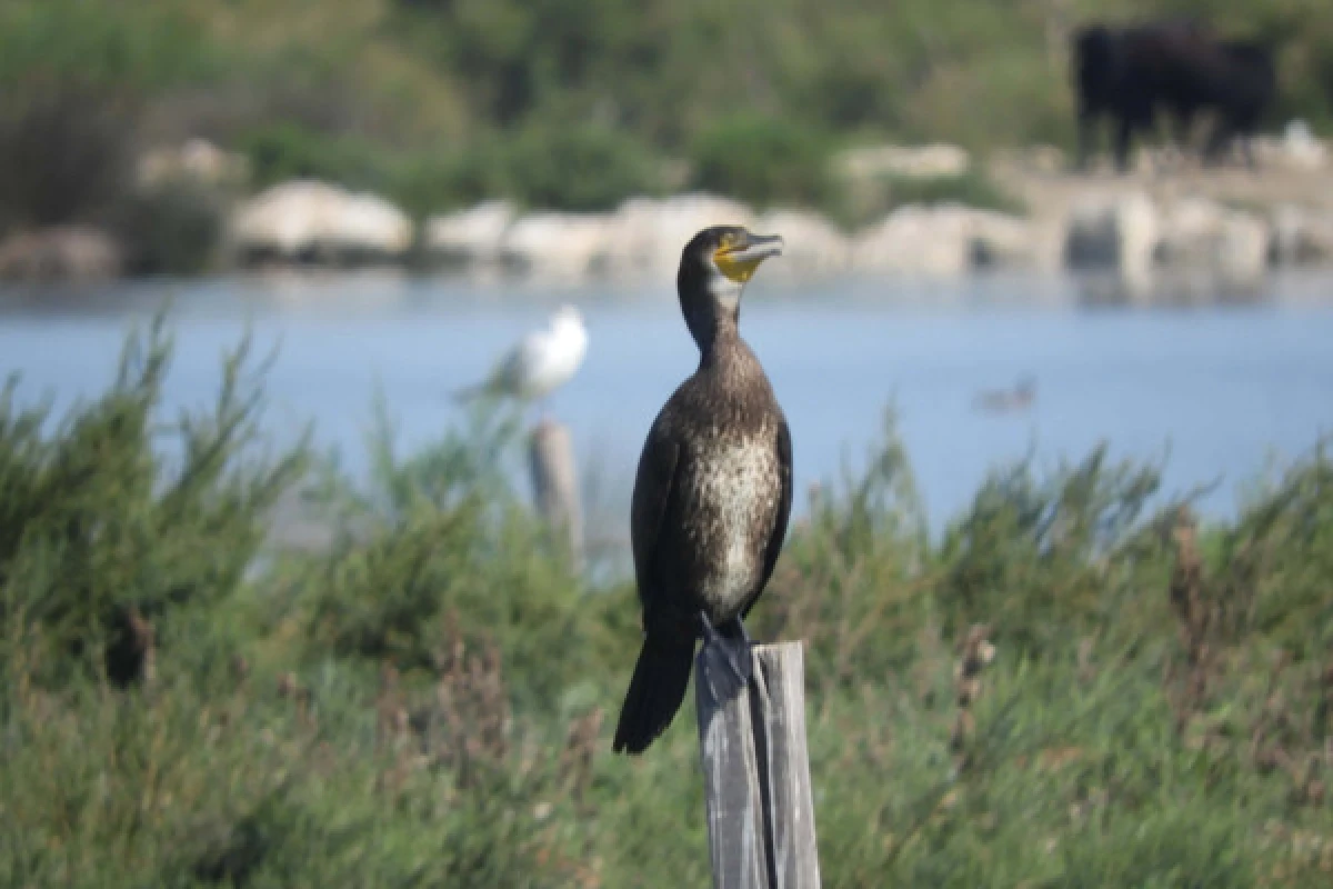 Discover of the Natural Reserve - Bonjour Fun