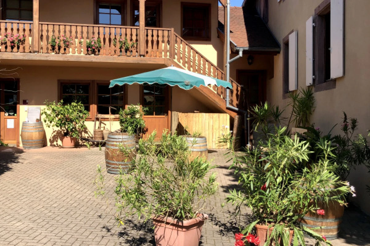 Wine and Cheese Aperitif in the Munster Valley - Bonjour Fun